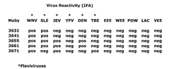 Anti-West Nile virus Envelope antibody [3641] used in  (). GTX36810